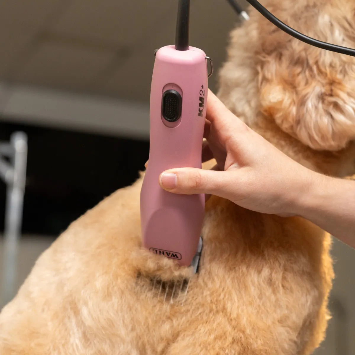 Wahl KM2+ Two Speed Corded Pet/Dog Grooming Clipper